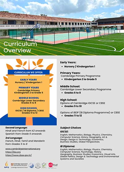 NPSI Curriculum Overview
